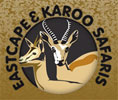 Eastcape and Karoo Safaris
